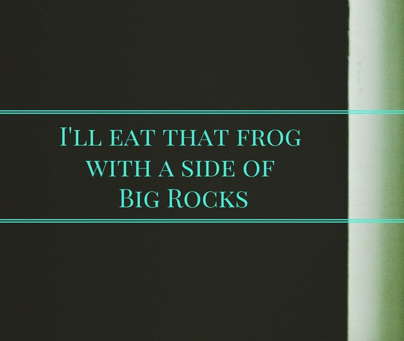 Time Management – I’ll eat that Frog with a side of Big Rocks