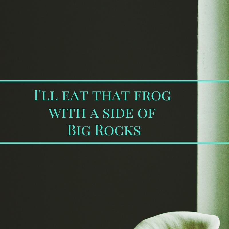 Time Management – I’ll eat that Frog with a side of Big Rocks
